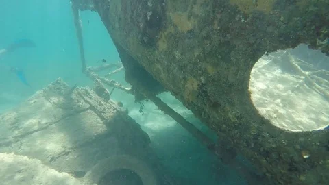 Nelson Harbour Wreck Dive - Part 1 Stock Footage