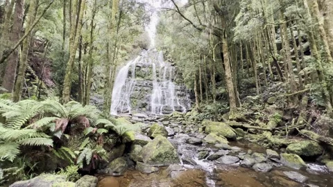 Nelson waterfall and stream at Franklin-Gordon Wild Rivers National Park Stock Footage 300809025