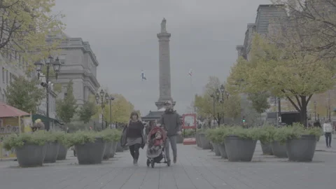 Nelson's Column in Montreal Video stock 146100926