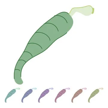 Nematode parasite vector cartoon graphic Illustrazione stock