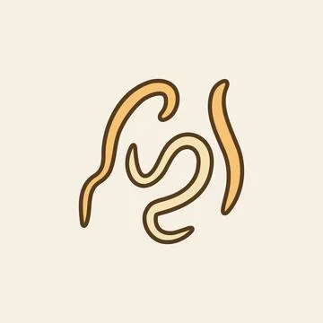 Nematodes vector concept colored modern icon or sign Stock Illustration