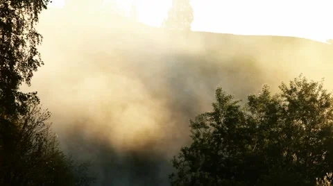 Nemda-fog-1 Stock-Footage 6044470