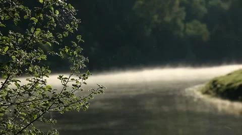 Nemda-fog-5 Stock-Footage 6056810