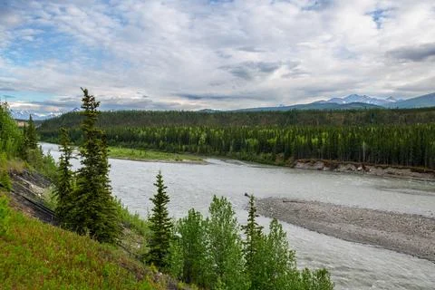 Nenana River View Stock Photos