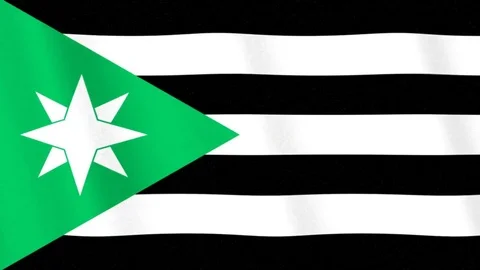 Nenthead realistic flag looping HD background Stock Footage 84280776