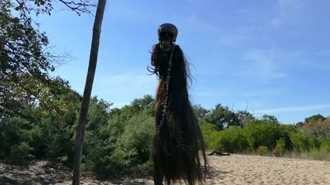 Neolithic totem crâne skull Stock Footage 163549376