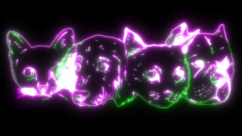 neon animation of dog cat face icon pet | Stock Video | Pond5