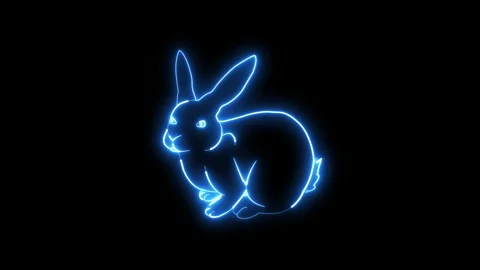 Neon animation of a rabbit. Video stock 232231506
