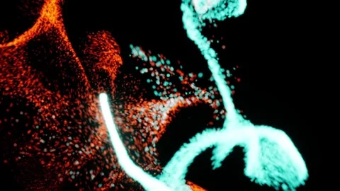 Neon Audio Spectrum Visualizer Blue and Orange Abstract Particle Wave Stock Footage 331947365