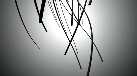 Neon black lines Stock Footage 55436216