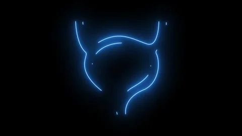 Neon Blue Glowing Human Urinary Bladder Medical Line Art Stock Footage 323992750