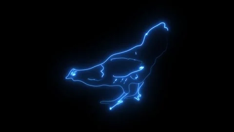 Neon blue glowing outline of a chicken Stock Footage 346972471