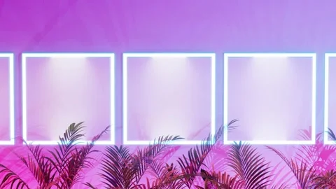 Neon blue light frames, mockup posters on white wall, pink light, tropical plant Stock Footage 201533049