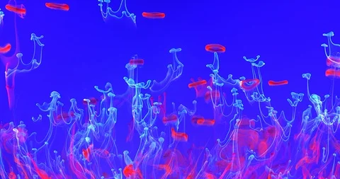 Neon Blue Multi Colored Liquid-2 Stock Footage 124603859