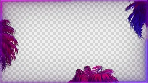 Neon Border With Palm Trees Stock Footage 243579585