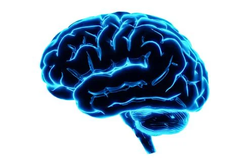Neon brain isolated on white background. Deep learning , Machine learning a.. Stock Illustration