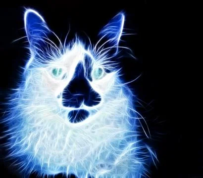 Neon cat Illustrazione stock
