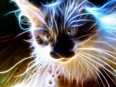 Neon cat Foto stock