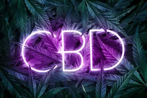 Neon CBD text, background of marijuana leaves with purple highlighting Stock Illustration