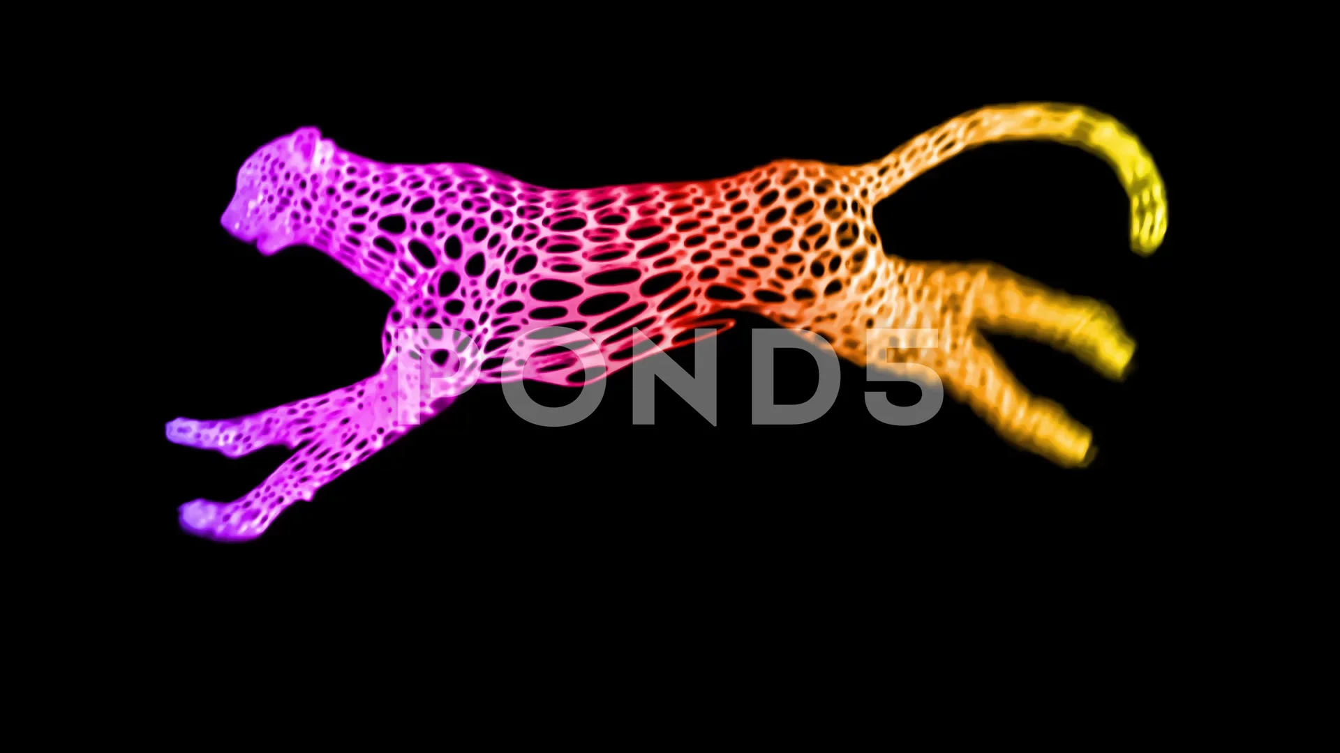 neon cheetah running cartoon animation s... | Stock Video | Pond5