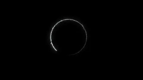 Neon circle frame animated video Stock Footage 295031786
