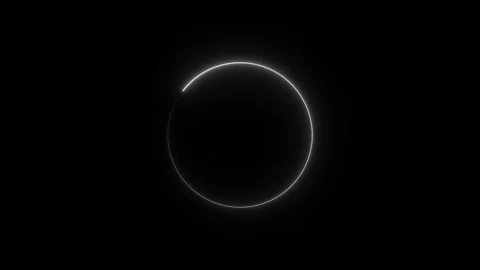 Neon circle shape frame glowing neon lights loop animation. a 315 Stock Footage 251949740