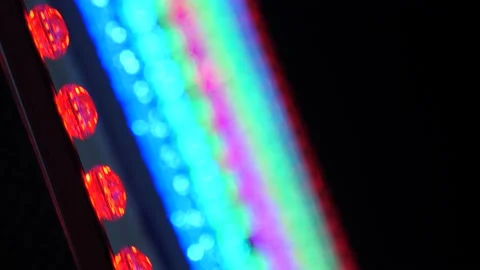 Neon Colored Lights on Carousel Ferris Wheel. Moon Night Bokeh in Amusement Park Stock Footage 143446106