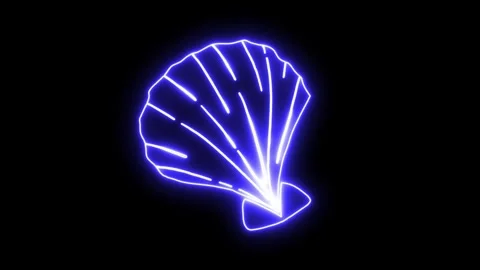 Neon Colorful Seashell Stock Footage 251216322