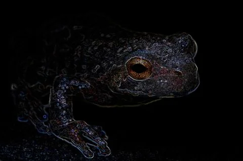 Neon cope's gray tree frog Stock Photos