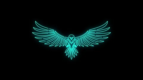 Neon Cyan Eagle Outline Glowing on Black Background Vídeo Stock 333707216