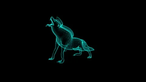 Neon Digital Wolf Rendering Howling in Futuristic High-Tech Aesthetic Art Sty 스톡 동영상 343639656