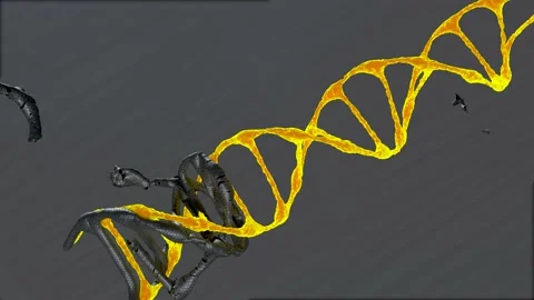 A neon dna 3d model rotate on dark background Stock Footage 154411731