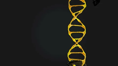 A neon dna 3d model rotate on dark background Stock Footage 154411893