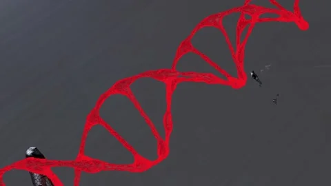 A neon dna 3d model rotate on dark background Stock Footage
