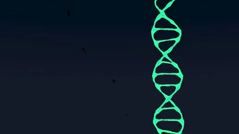 A neon dna 3d model rotate on dark background Stock Footage 154411982