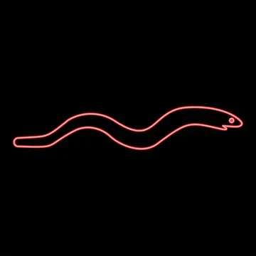 Neon eel fish snake shape seafood concept red color vector illustration image Illustrazione stock