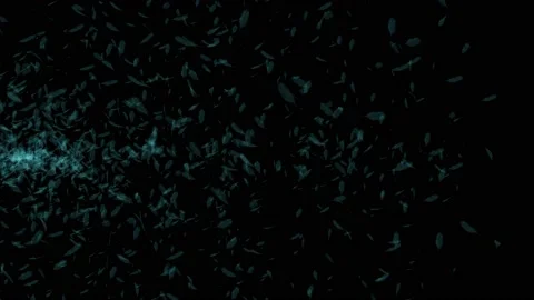 Neon feathers evening flying background animation Stock Footage 236570393
