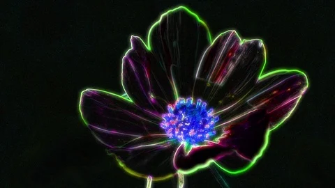 Neon Flower Animation Vídeos de archivo 101221512