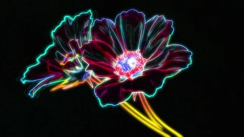 Neon Flower Animation 库存影片 101221680