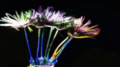 Neon Flower Animation Stockbeeldmateriaal 101221951