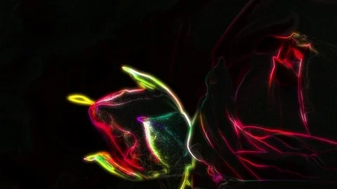 Neon Flower Animation Vídeo Stock 101222270