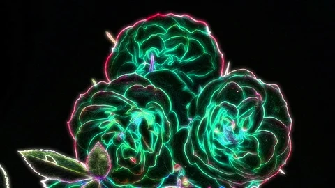 Neon Flower Animation Vídeo Stock 101223339