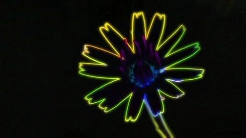 Neon Flower Animation 動画素材 101224527
