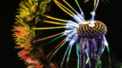 Neon Flower Animation Stock Footage 101224933