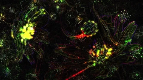 Neon Flower Animation Stock Footage 101225847
