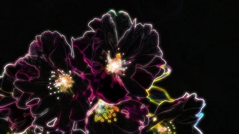 Neon Flower Animation Vídeo Stock 101226330