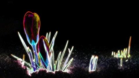 Neon Flower Animation Vidéo 101226515