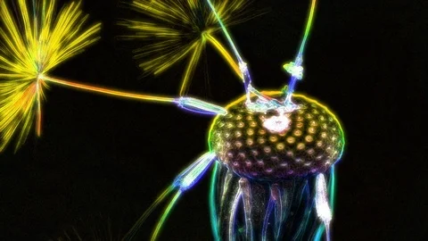 Neon Flower Animation Vidéo 101227167