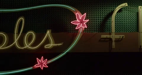 Neon Flowers Stock Footage 292724559