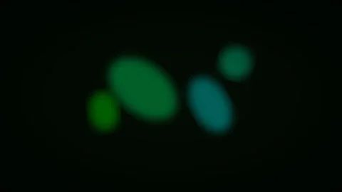 Neon fluid abstract background motion design elements glow effect Stock Footage 336837275